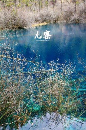 电商SaaS盘点|2023年收入持续缩水付费商户流失 微盟股价“腰斩”、有赞跌破一毛钱？