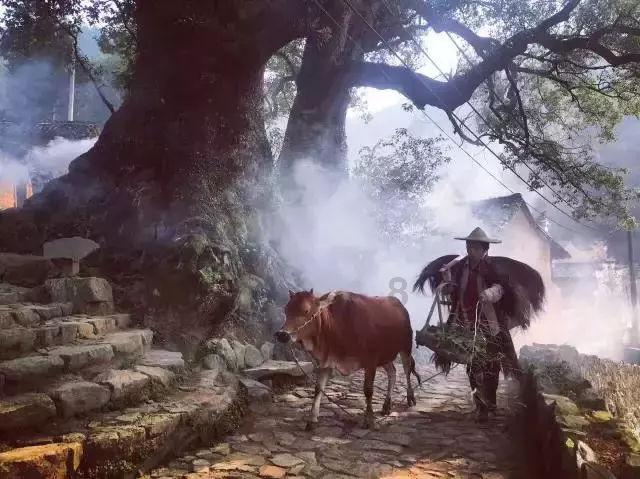 大厦管理者