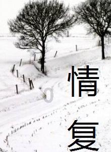 这是警察