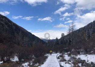 printed怎么读英语