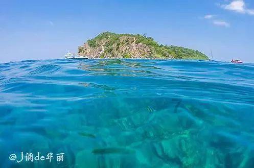 琴覆天下