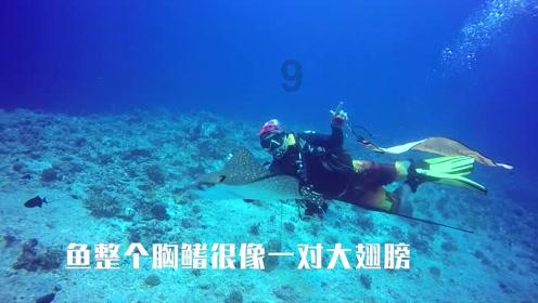 四季报出炉 基金经理都做了哪些努力？