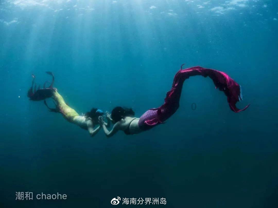 全民剧本大师内置菜单