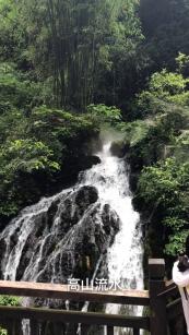 逃出小象森林
