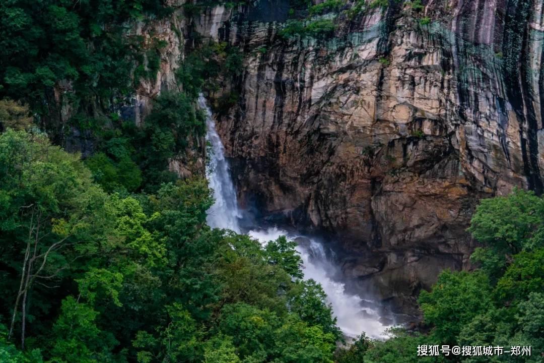 泡沫森林