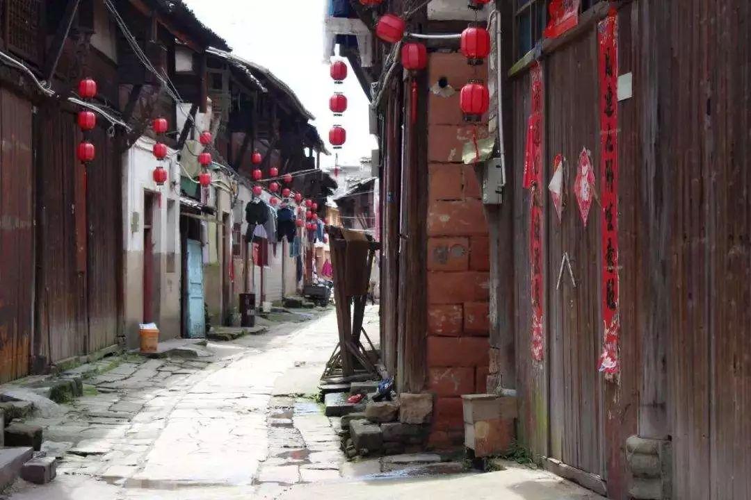 小猫钓鱼正版下载中文版